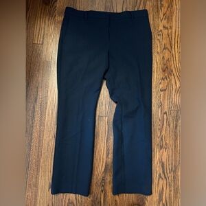 Ann Taylor Men's Dark Pants